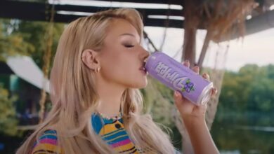 shirin david eistee